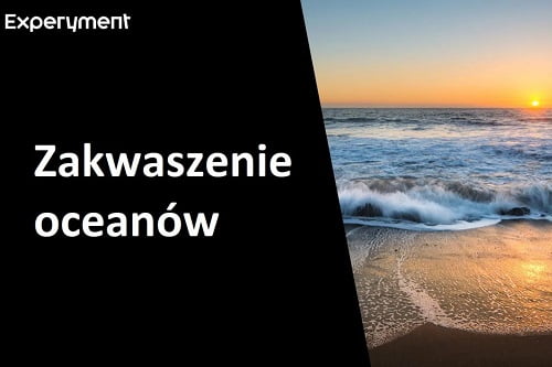 Miniaturka do filmu z cyklu ZDALNY EXPERYMENT pod tytułem Dwutlenek węgla i zakwaszenie oceanów.