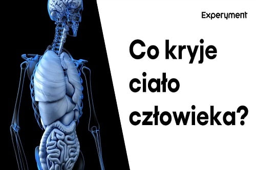 Grafika przedstawiająca odcinek z serii "ZDALNY EXPERYMENT" pt. "Co kryje ciało człowieka?"