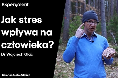 Grafika przedstawiająca odcinek z serii pt. "Science Cafe Zdalnie" który poprowadził Dr. Wojciech Glac a tematem było "Jak stres wpływa na człowieka?"