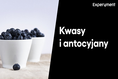 Grafika przedstawiająca odcinek z serii "ZDALNY EXPERYMENT" pt. "Kwasy i anyocyjany"