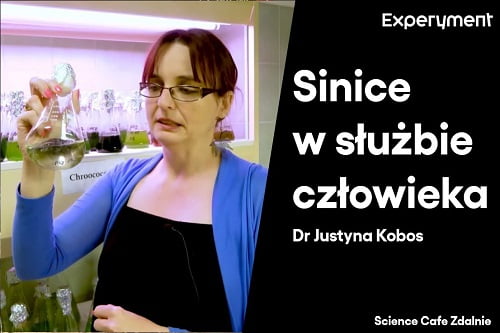 Grafika przedstawiająca odcinek z serii pt. "Science Cafe Zdalnie" który poprowadziła Dr. Justyna Kobos a tematem były "Sinice w służbie człowieka"