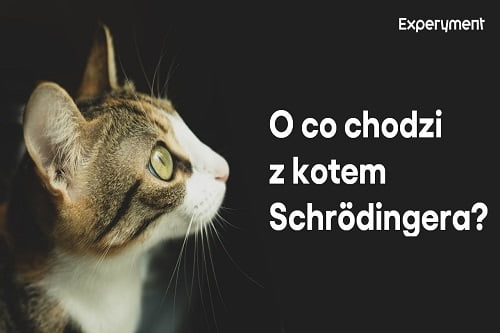 Miniaturka do filmu z cyklu ZDALNY EXPERYMENT pod tytułem O co chodzi z kotem Schrodingera.