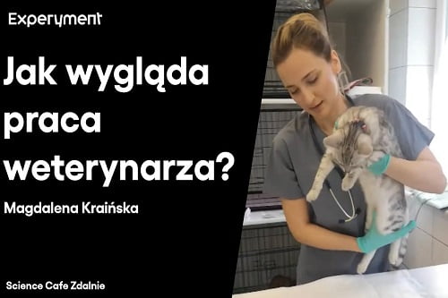 Grafika przedstawiająca odcinek z serii pt. "Science Cafe Zdalnie" który poprowadziła Magdalena Kraińska a tematem było "Jak wygląda praca weterynarza?"
