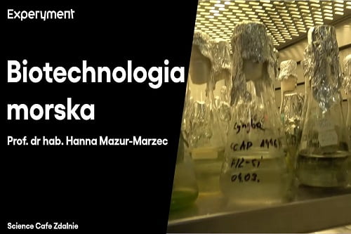 Grafika przedstawiająca odcinek z serii pt. "Science Cafe Zdalnie" który poprowadziła Prof. Dr. Hab. Hanna Mazur-Marzec a tematem była "Biotechnologia morska"