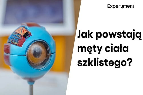 Grafika przedstawiająca odcinek z serii "ZDALNY EXPERYMENT" pt. "Jak powstają męty ciała szklistego?"