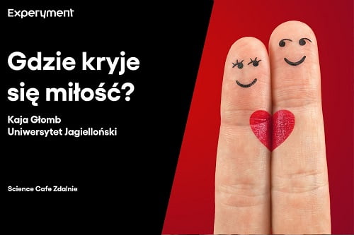Grafika przedstawiająca odcinek z serii pt. "Science Cafe Zdalnie" który poprowadziła Kaja Głomb z Uniwersytetu Jagiellońskiego a tematem było "Gdzie kryje się miłość?"