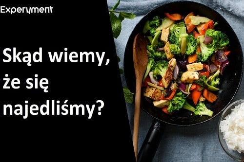 Miniaturka do filmu z cyklu ZDALNY EXPERYMENT pod tytułem Co powoduje, że czujemy się syci?