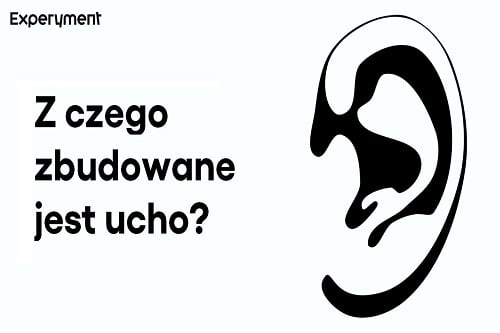 Grafika przedstawiająca odcinek z serii "ZDALNY EXPERYMENT" pt. "Z czego zbudowane jest ucho?"