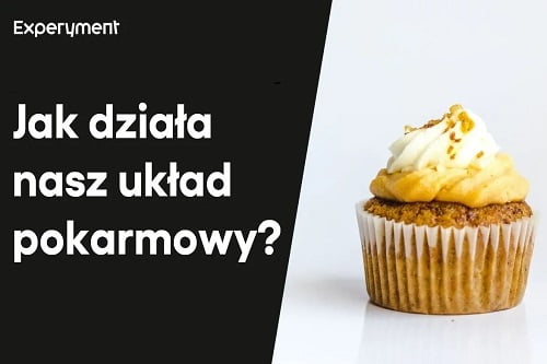 Miniaturka do filmu z cyklu ZDALNY EXPERYMENT pod tytułem Układ pokarmowy.