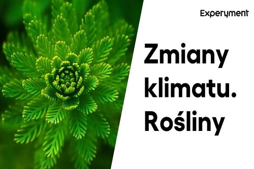 Miniaturka do filmu z cyklu ZDALNY EXPERYMENT pod tytułem Wpływ zmian klimatu na rośliny.