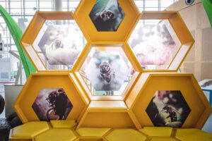 foto. Tomek_Kaminski_Experyment_09_03_20_00249