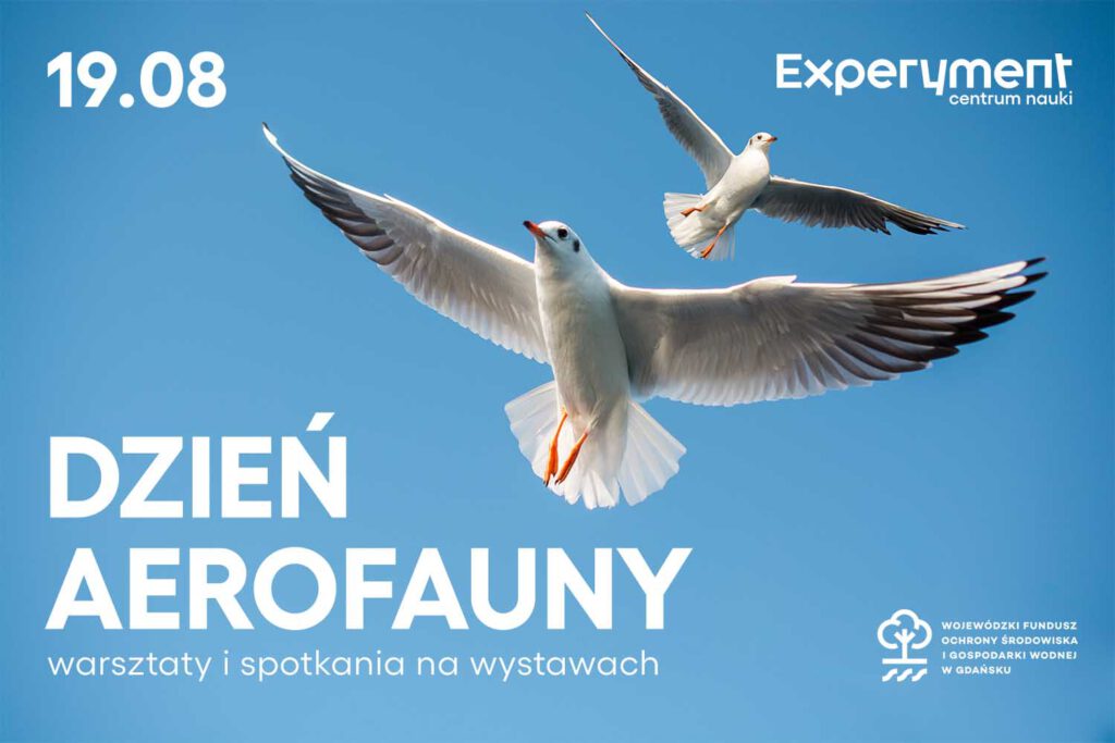Dzień Aerofauny w Experymencie 2023 Dzień Aerofauny