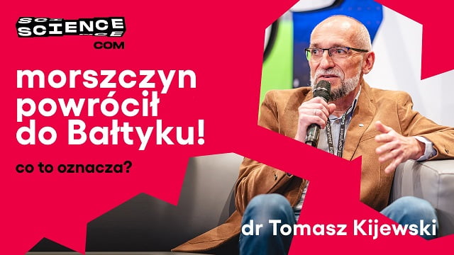 Miniaturka do wywiadu z Tomaszem Kijewskim.