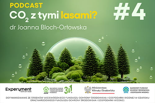 Podcast. Co2 z tymi lasami?