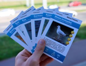 Gra karciana Wojna Ptaków fot. CNE