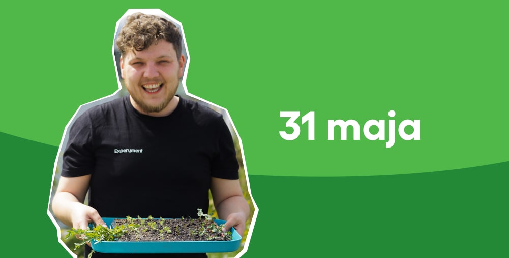 Zbigniew Czapliński na zielonym tle i napis "31 maja"