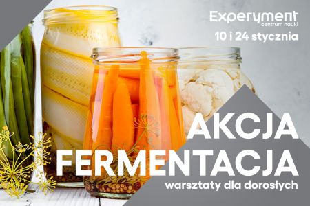 Plakat Warsztatów dla dorosłych Akcja fermentacja. Kiszonki w słoikach