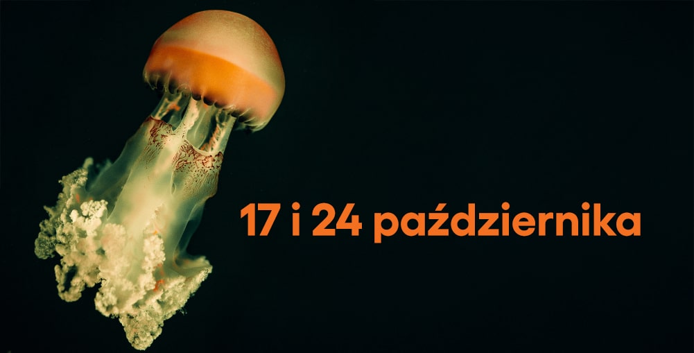 meduza z napisem "17 i 24 października"