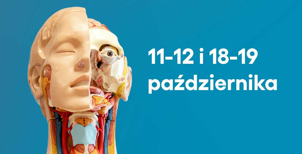 model anatomiczny człowieka i napis "11-12 i 18-19 października"