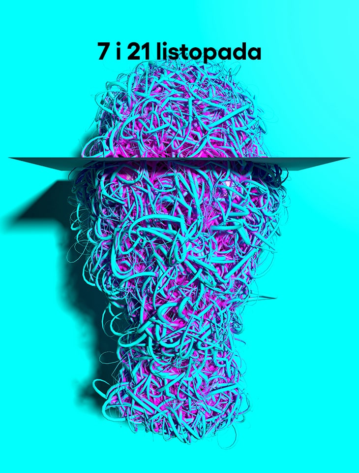 grafika przedstawia głowę zbudowaną ze splatanych kabli