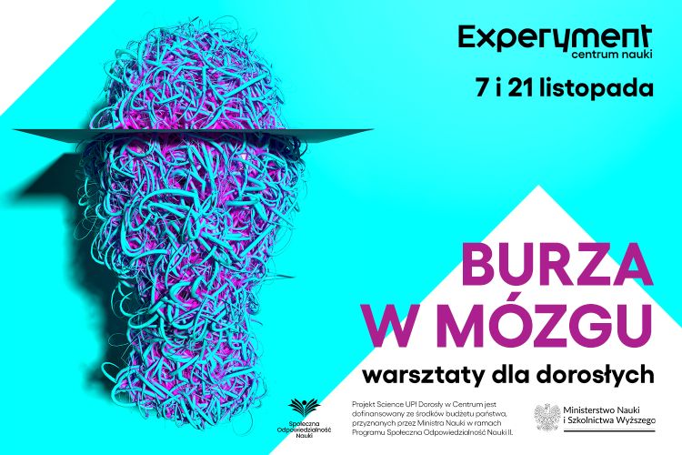 grafika przedstawia głowę zbudowaną ze splatanych kabli. u góry napis "7 i 21 listopada"