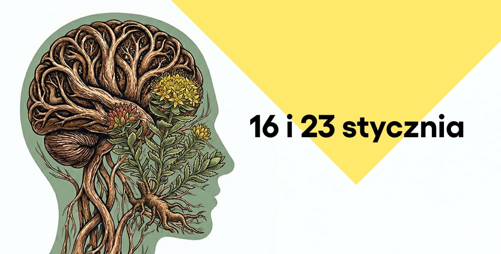 rysunek człowieka, który zamiast układu nerwowego posiada korzenie witani ospałej (ashwagandhy) i kwiaty różeńca górskiego, obok napis "16 i 23 stycznia"