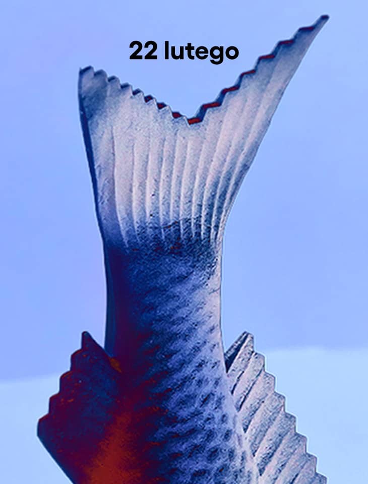 Stylizowana, pionowa forma przypominająca rybi ogon o ząbkowanych krawędziach, w chłodnych odcieniach niebieskiego. Na górze widnieje czarny napis „22 lutego”. Tło jest jasnoniebieskie, a całość ma minimalistyczny, plakatowy charakter.