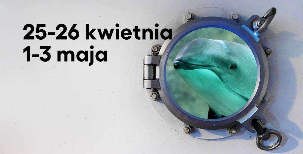 okno z łodzi podwodnej na morświna