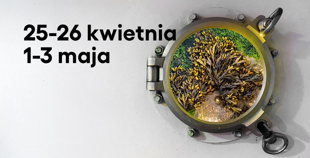 25-26 kwietnia, 1-3 maja. okno z batyskafu w którym widać morszczyn pęcherzykowaty