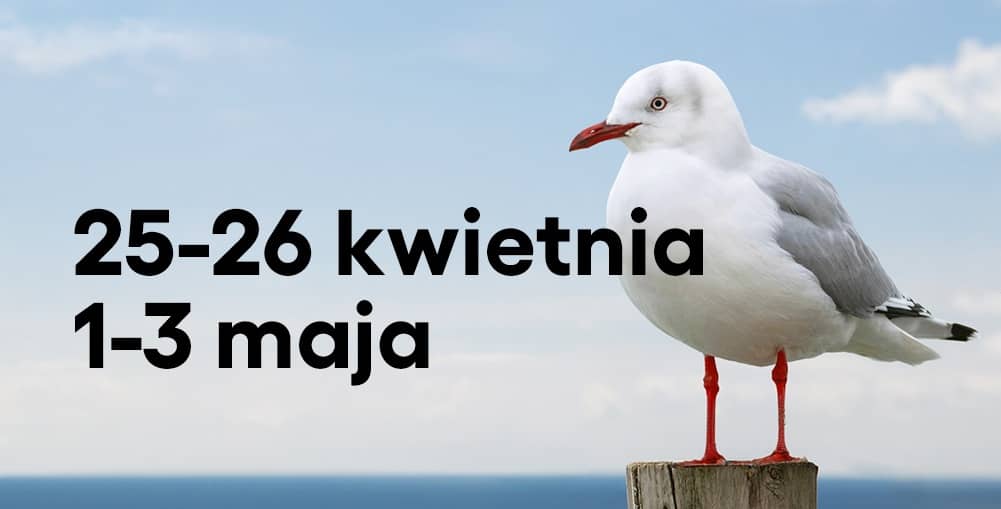 Biała mewa z czerwonym dziobem i nogami stoi na drewnianym słupku na tle błękitnego nieba i morza. Z lewej czarny napis: ‘25–26 kwietnia, 1–3 maja’