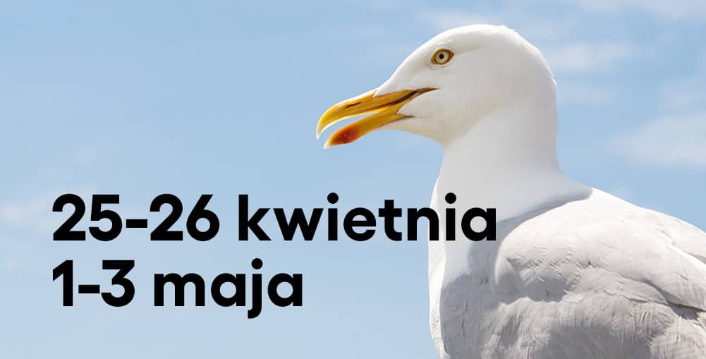 Biała mewa na tle błękitnego nieba, zwrócona w prawo. Po lewej stronie czarny napis: ‘25–26 kwietnia, 1–3 maja’.