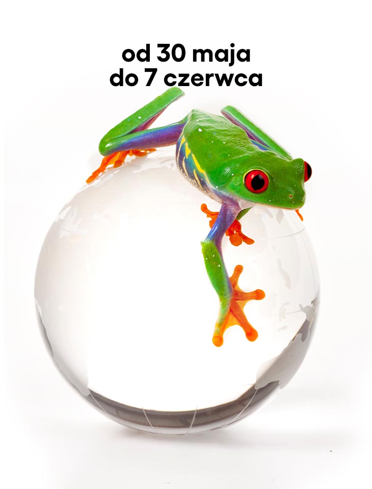zdjęcie żaby na szklanej kuli