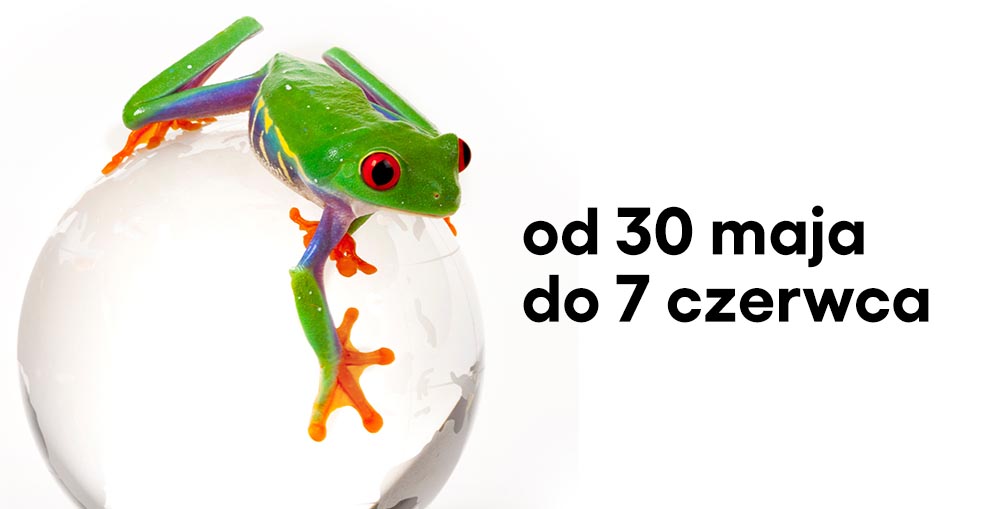zdjęcie żaby na szklanej kuli