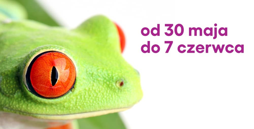 Zbliżenie na zieloną żabę o intensywnie czerwonych oczach na jasnym tle. Po prawej stronie znajduje się napis: „od 30 maja do 7 czerwca”.