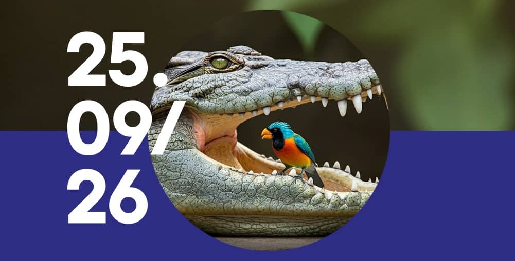 Po lewej stronie dużymi białymi cyframi zapisano datę „25.09/26”. Po prawej znajduje się okrągłe zdjęcie krokodyla z otwartym pyskiem, na którego dolnej szczęce siedzi kolorowy ptak o turkusowej głowie i pomarańczowo-żółtym brzuchu. Tło jest rozmyte w odcieniach zieleni, a dolną część grafiki wypełnia granatowy pas.
