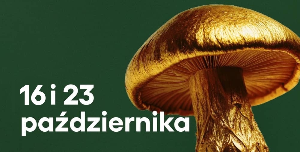 Grafika z dużym, złocistym grzybem na ciemnozielonym tle. Z lewej strony znajduje się napis „16 i 23 października”.