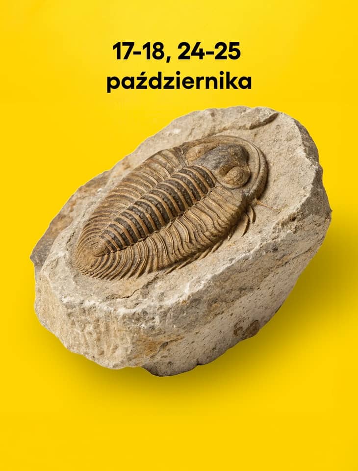 Na żółtym tle, w górnej części grafiki, widnieje czarny napis „17–18, 24–25 października”. Poniżej znajduje się skamieniałość trylobita w jasnobeżowym fragmencie skały, przedstawiona pod kątem i rzucająca cień na tło.